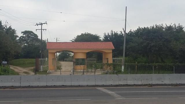 Foto de la galeria de imagenes