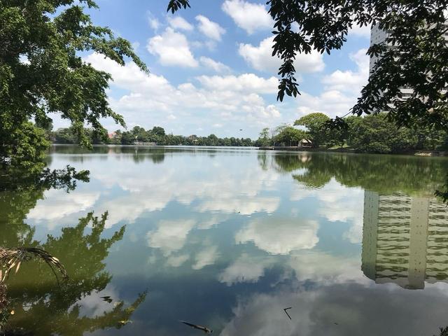 Foto de la galeria de imagenes