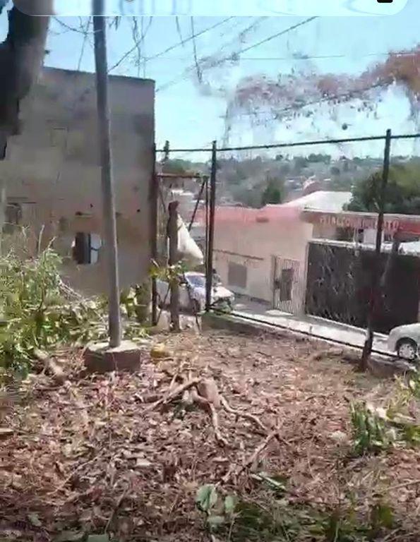 Foto de la galeria de imagenes