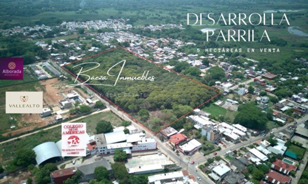 Foto de la galeria de imagenes